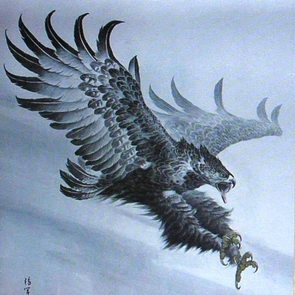 鹰4.jpg