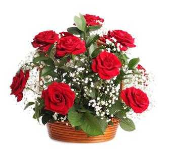 u=1337353058,369758038&amp;fm=23&amp;gp=0.jpg