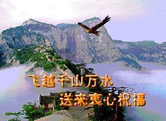 QQ图片20141231172013.jpg