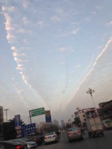 image.jpg
