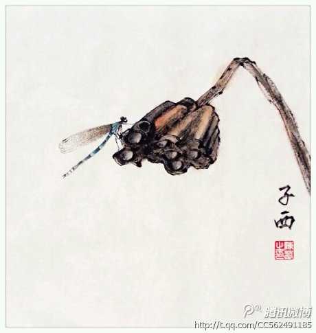 枯蓬.jpg