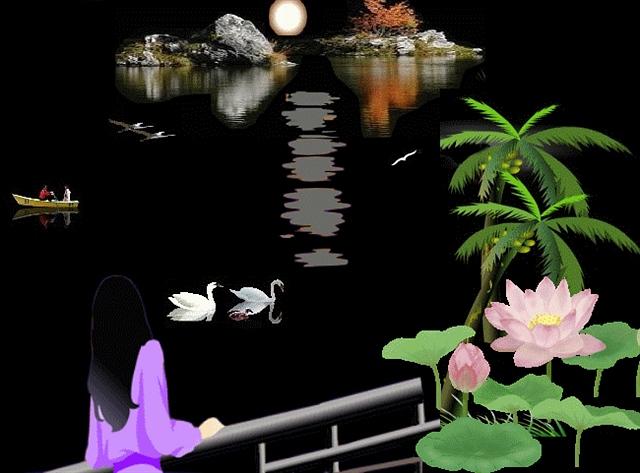 月夜.jpg