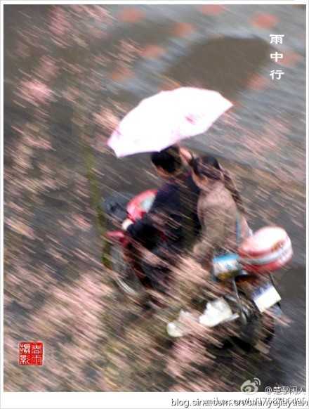 雨中行.jpg