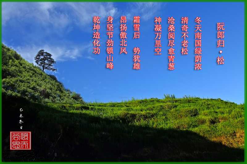 阮郎归.jpg