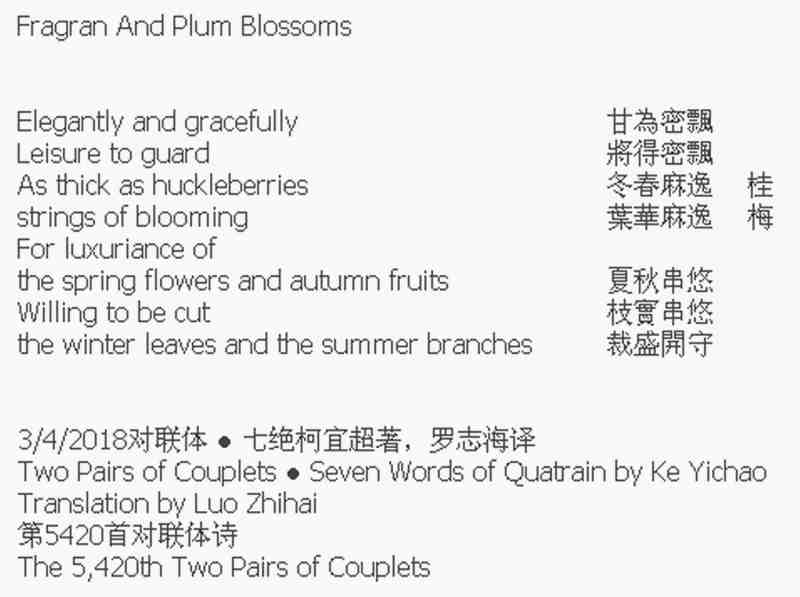 桂梅.jpg