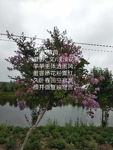 IMG_20180624_083631.jpg