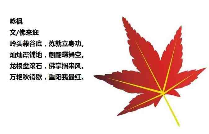 枫叶.jpg