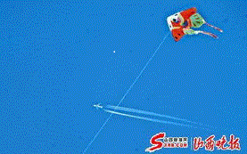 a5e7db1b3124b5b5.gif