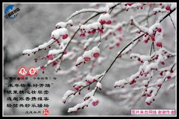 1334冬雪2.jpg