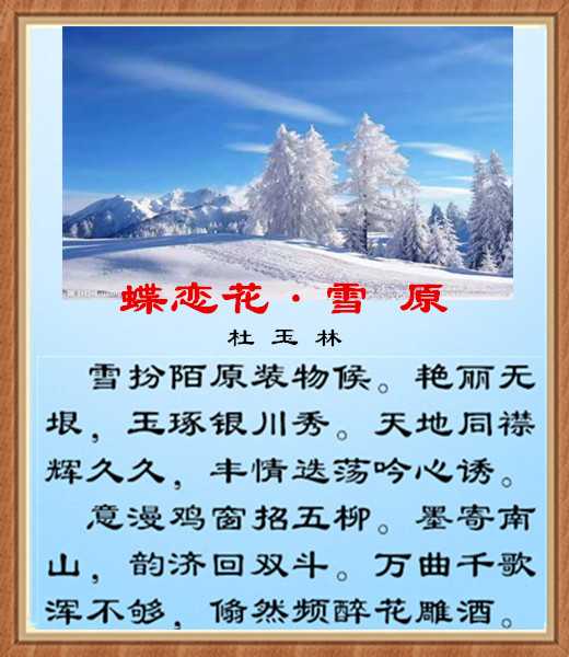 312蝶恋花雪.jpg