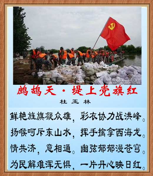 459鹧鸪天堤上党旗红.jpg