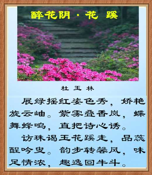 472醉花阴花蹊.jpg