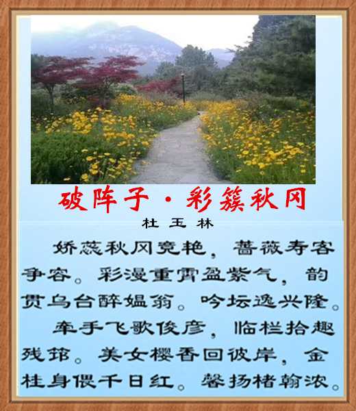 483破阵子秋山.jpg