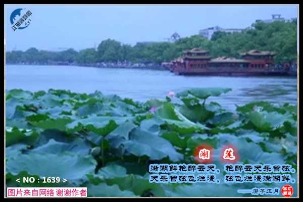 1639莲湖.jpg