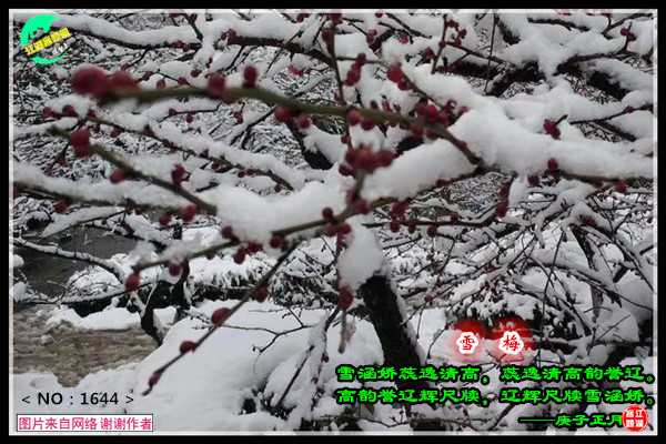 1644雪梅.jpg