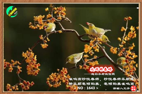 1643·欢羽啭春娇.png