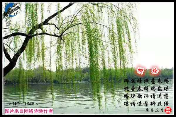 1648柳绦.jpg