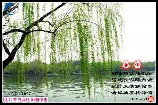 1647春情.jpg