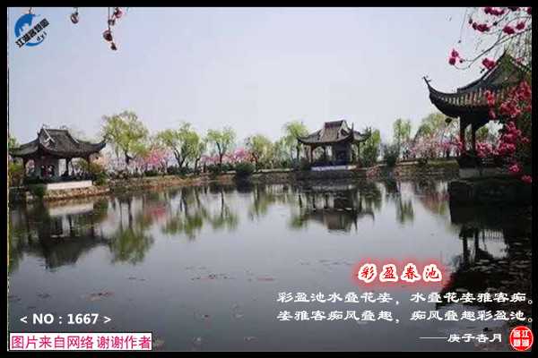 1667彩盈春池.jpg