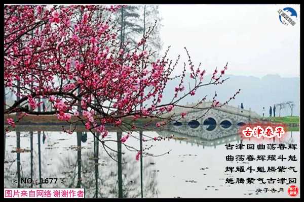 1677古津春曲.jpg
