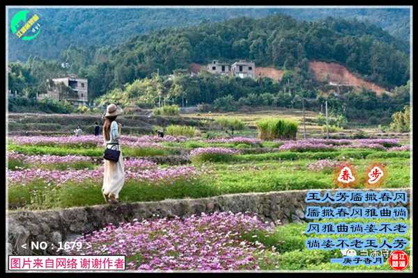 1679春步.jpg