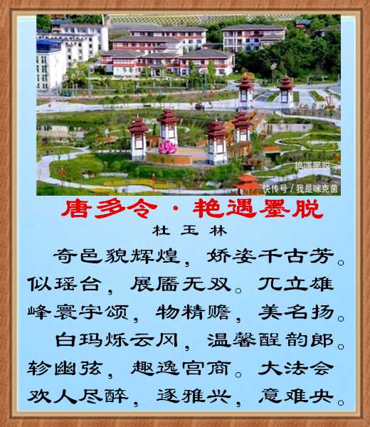 540唐多令艳遇墨脱.jpg