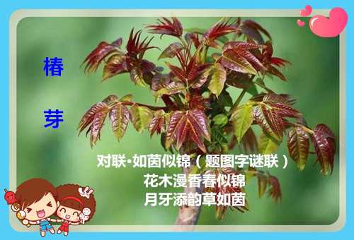 timg_副本.jpg