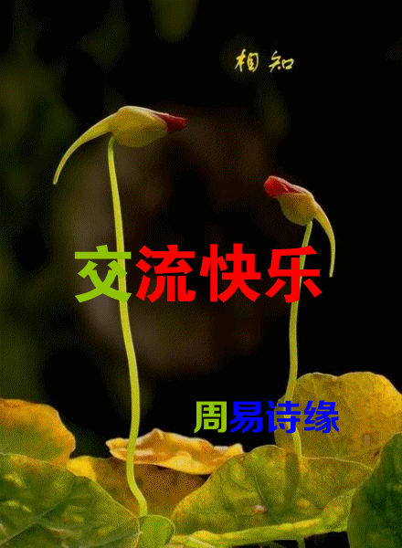 165544agrn5n83anq3zfc3.gif