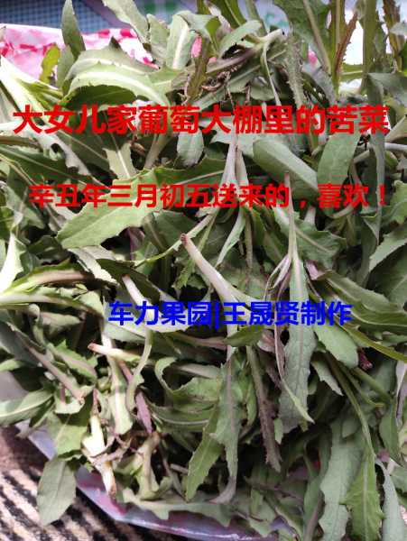 QQ图片20210416124740_副本.jpg