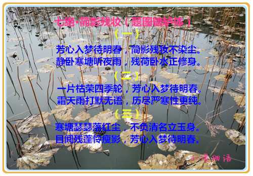 2113457_20190501212833958146_1_副本.jpg