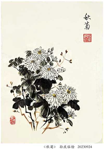 230925-秋菊_副本.jpg