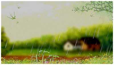 240304-春雨_副本.jpg