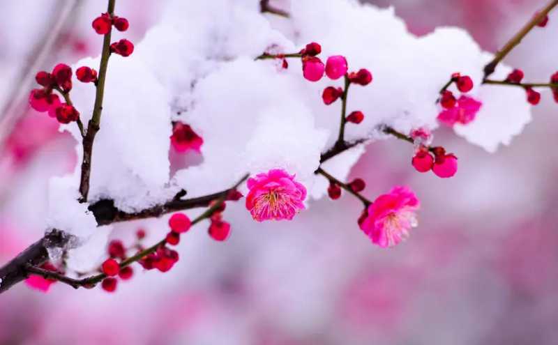 c40a7f87a2654ae69497d5101125fb16.webp.jpg