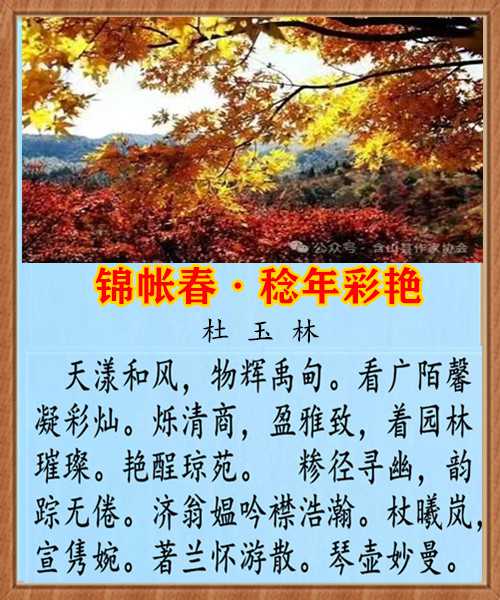 1424锦帐春稔年彩艳.jpg