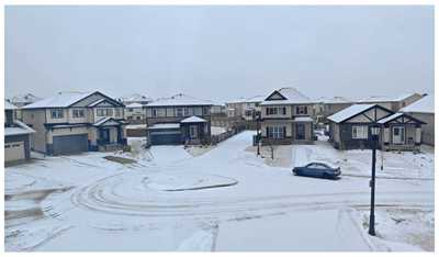 250402-春雪3_副本.jpg