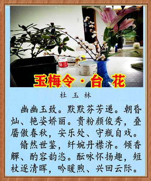 1433玉梅令台花.jpg