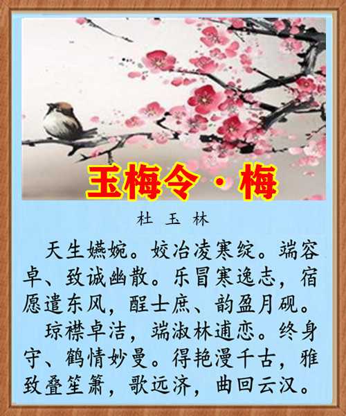 1434玉梅令梅.jpg
