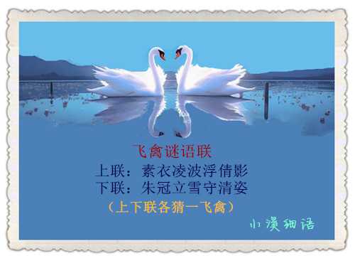 9ef9b241689edbfb8c21038a9aaf283e_副本.jpg