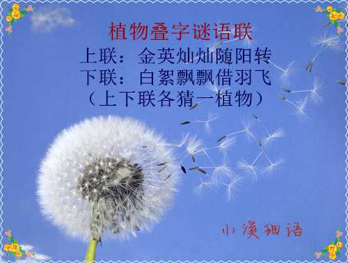 4cd6c32a6c73c7cd068be44b67b097f6_副本.jpg